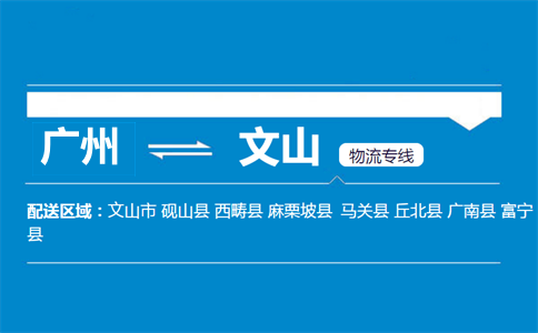 广州到麻栗坡县物流专线